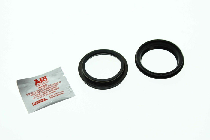 ARI 176 Gabelsimmerringe Satz Y-2 48X58,4 X 5,8/13